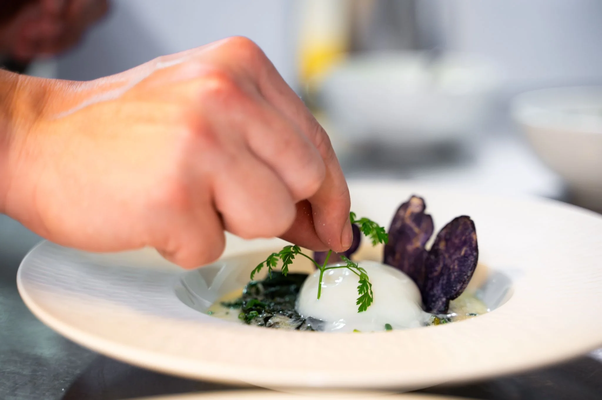 Plat gastronomique de la Pinte des Trois Canards